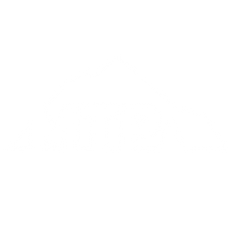 MT Provisions