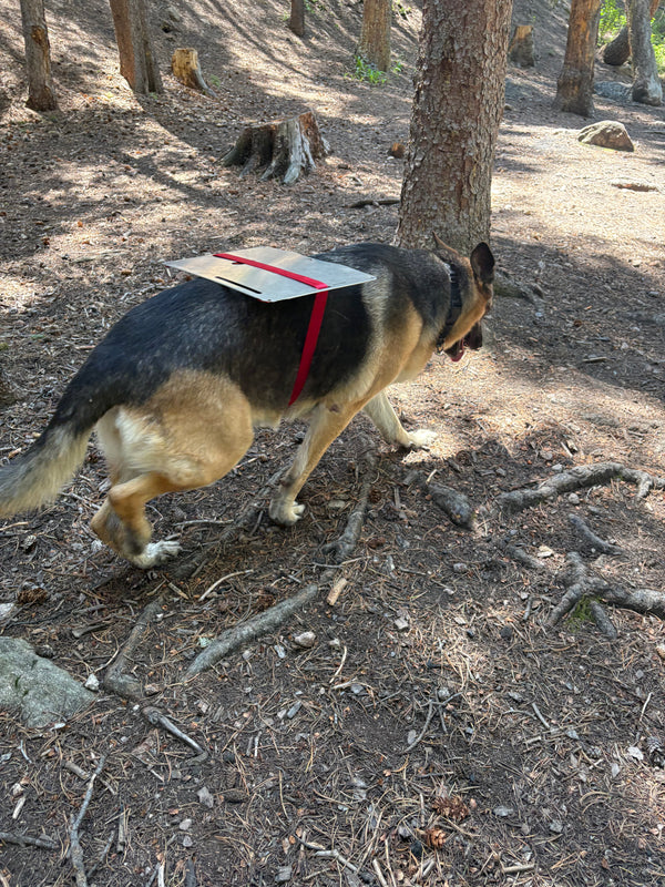 Trail Partner Approved · 10 oz Flat Pack · Fits Any Pack