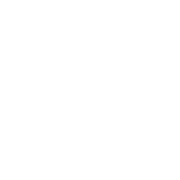 MT Provisions